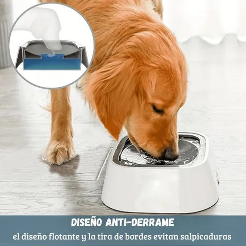 Bebedero Antiderrame