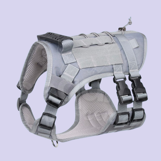 Arnés Tactico