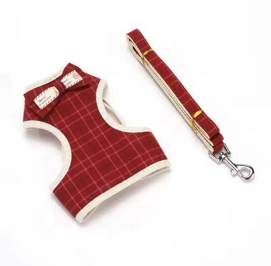 Correa De Pecho Con Lazo