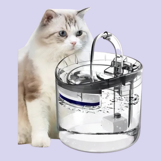 Bebedero Fuente Para Mascotas Con Filtro