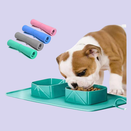 Bebedero Comedor Para Mascotas Plegables