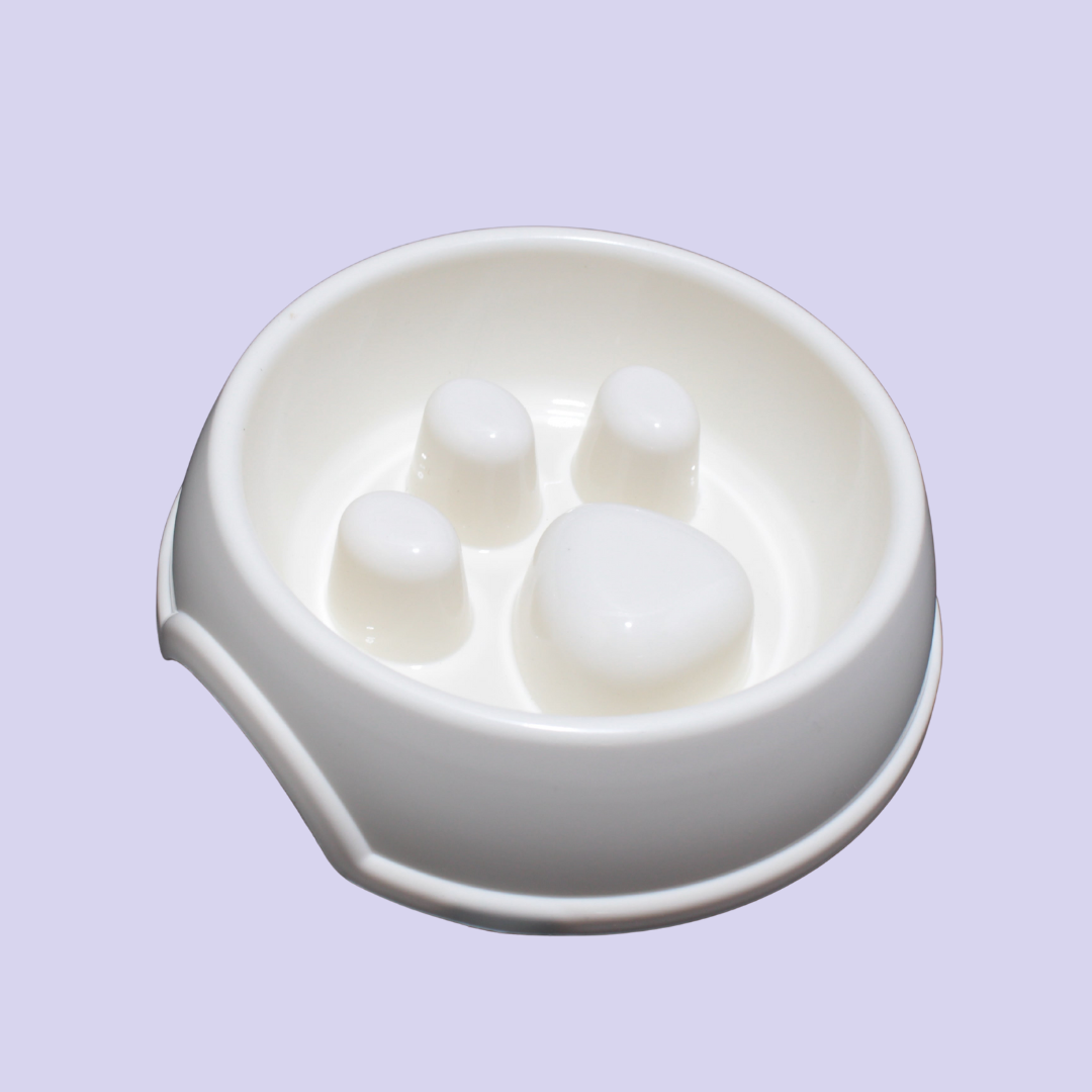 Comedero Para Mascota Anti Estres Huella