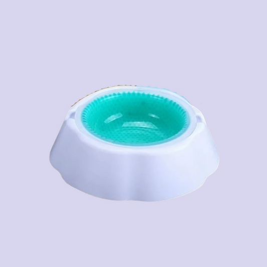 Plato Para Mascota Always Fresh