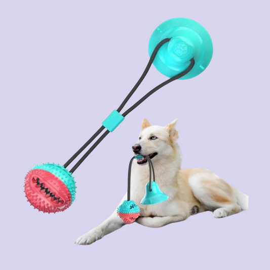 Juguete Mordedor Para Perro