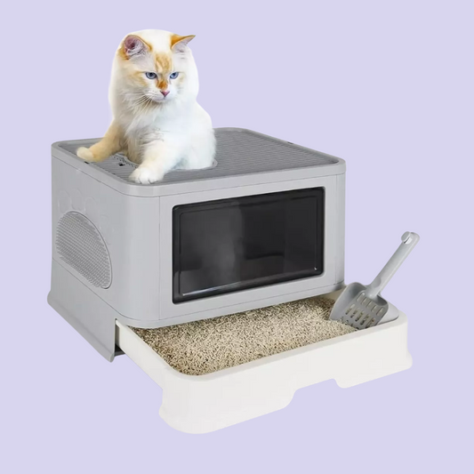 Arenera Para Gato Entrada Superior