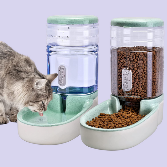 Dispensador De Alimento y Agua